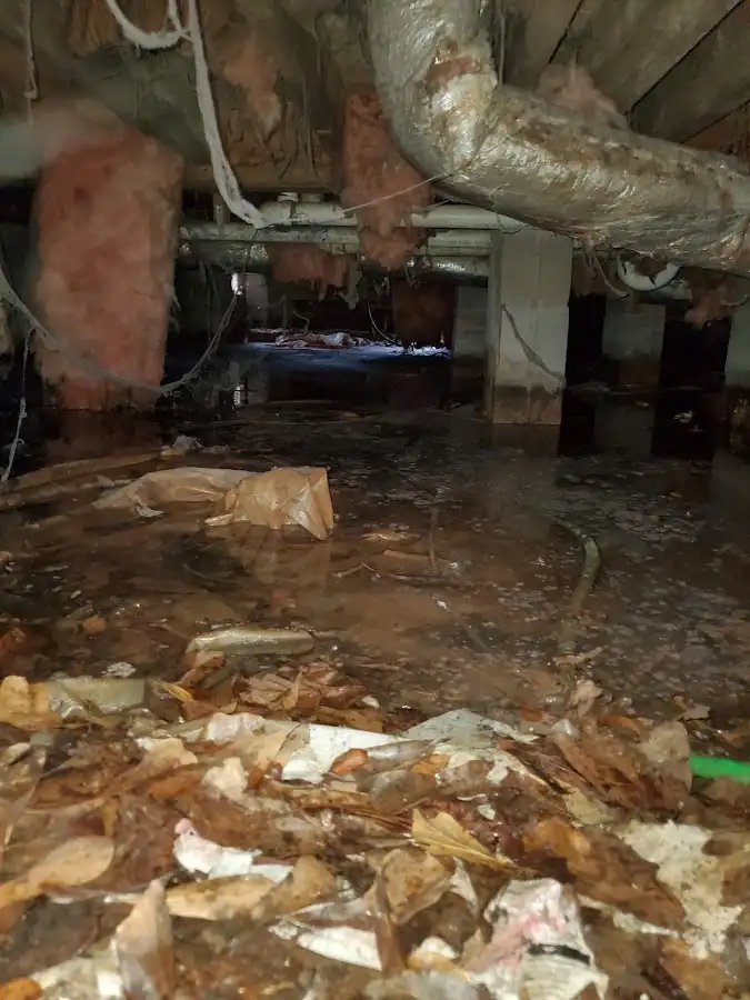 Crawl space flood assessment for Leak Detection & Repair in Decatur